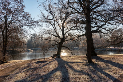 Bare trees by lake against sky during winter