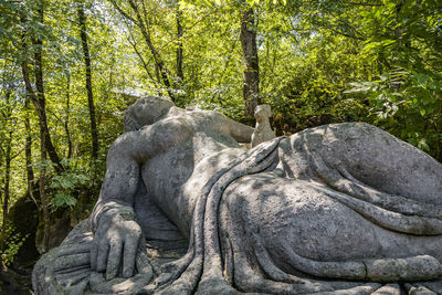 Statue amidst trees in forest