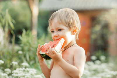 Portrait of boy eating watermelon