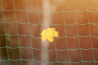 Full frame shot of yellow wall