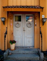 Potted plant on door of building