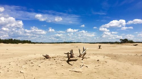 Scenic view of desert against sky