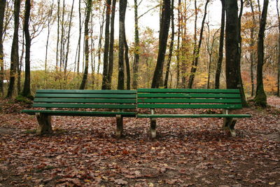 Empty bench in park