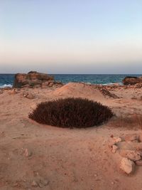 Scenic view of beach against clear sky