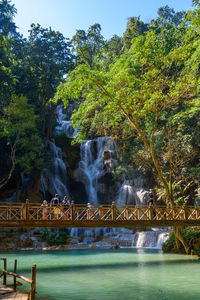 Scenic view of waterfall in forest