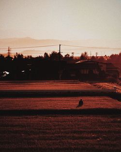 Scenic view of field against clear sky during sunset