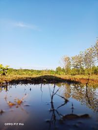 Scenic view of lake against clear blue sky