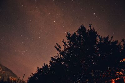 Low angle view of silhouette trees against sky at night