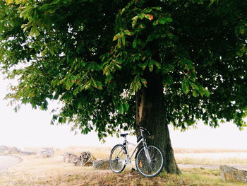 Bicycle by tree against sky