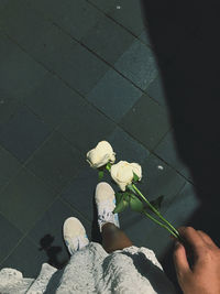 Low section of person holding white flowering plant