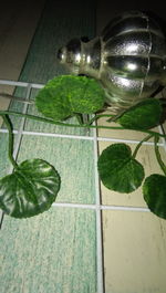 High angle view of vegetables on table