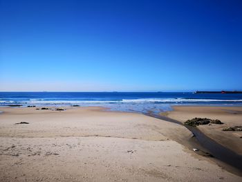 Scenic view of beach against clear blue sky