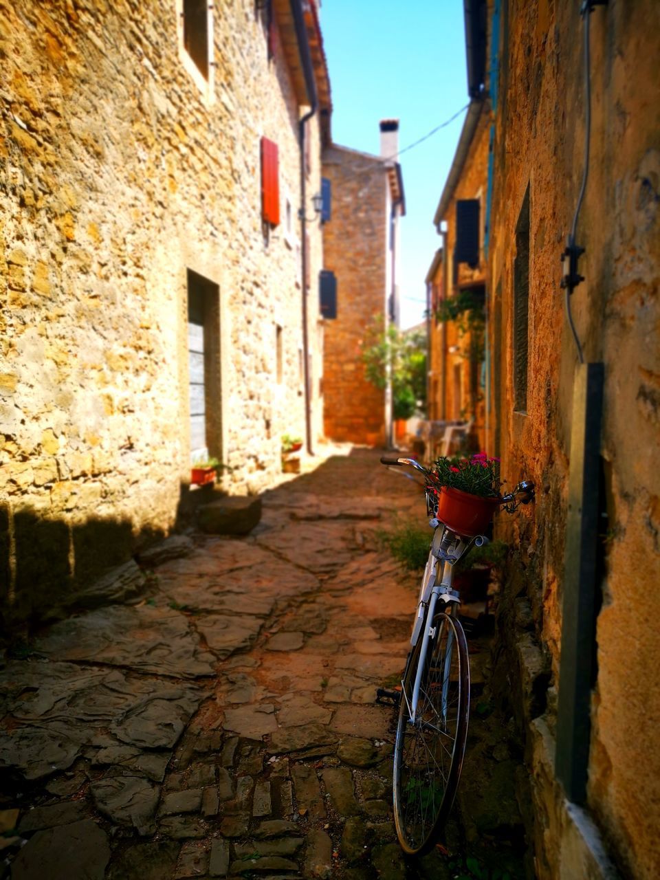 NARROW ALLEY AMIDST BUILDINGS