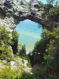 Scenic view of forest against sky