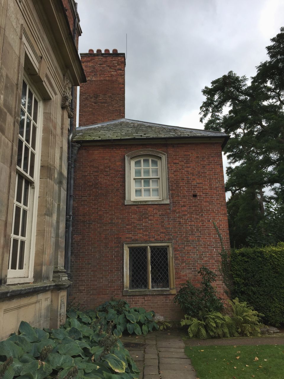 architecture, built structure, building exterior, window, plant, building, sky, nature, tree, no people, cloud - sky, residential district, day, outdoors, house, wall, low angle view, growth, brick, ivy