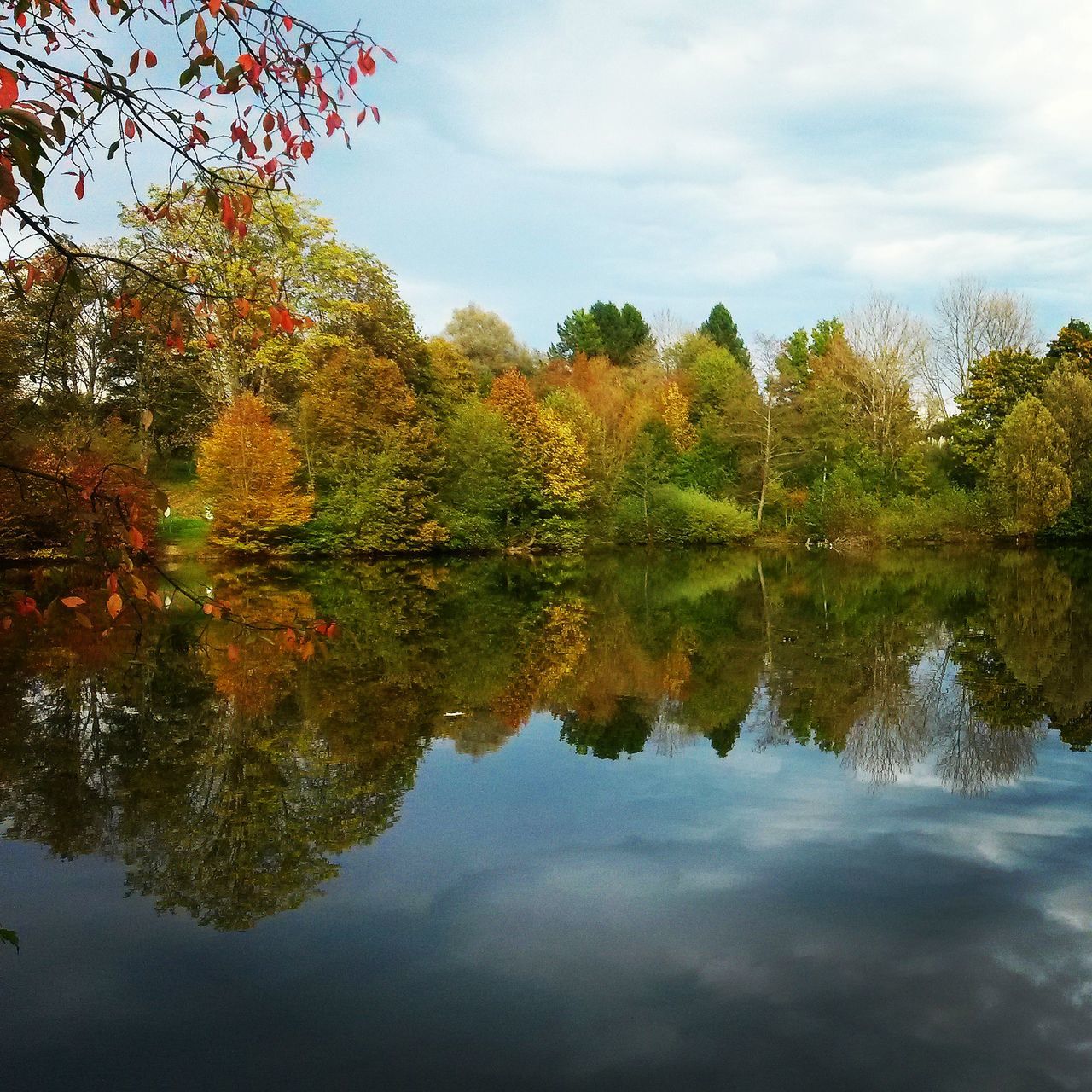 tree, reflection, water, autumn, tranquility, lake, tranquil scene, sky, change, beauty in nature, scenics, nature, waterfront, season, idyllic, growth, standing water, cloud - sky, leaf, branch