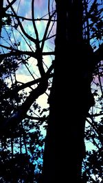 Low angle view of silhouette tree against blue sky