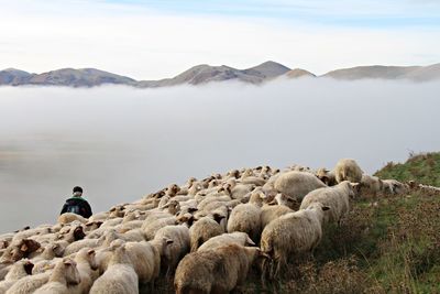 Man working on mountain against sky