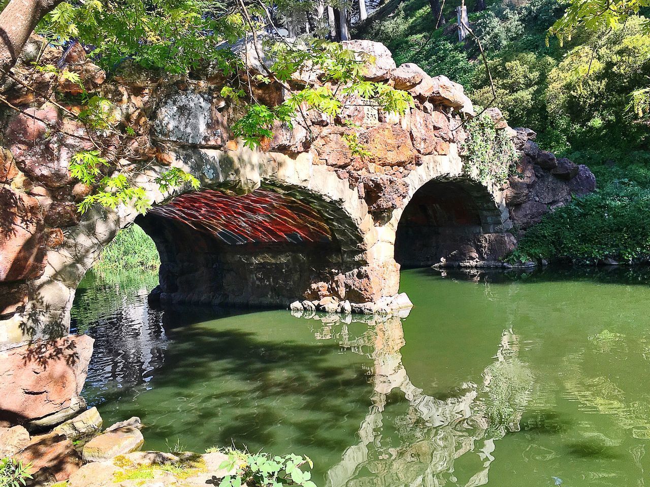 tree, water, built structure, growth, plant, architecture, arch, reflection, nature, tranquility, green color, branch, pond, day, bridge - man made structure, beauty in nature, outdoors, connection, river, park - man made space