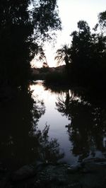 Silhouette trees by lake in forest against sky