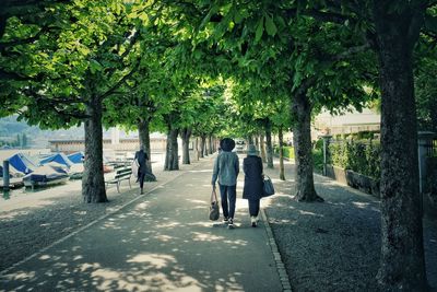 Rear view full length of man and woman walking amidst trees on footpath at park
