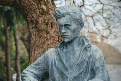 Close-up of statue against tree trunk