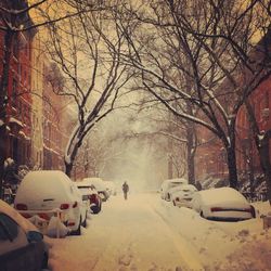 Snow covered landscape