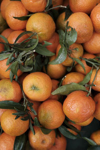 Full frame shot of oranges for sale