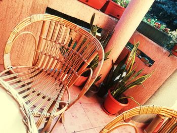 High angle view of potted plants in basket