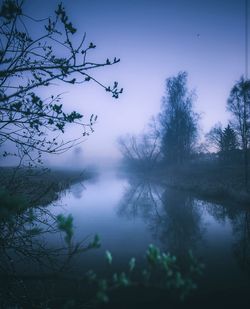 Reflection of trees in lake against sky