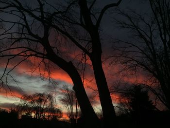 Low angle view of silhouette bare trees at sunset