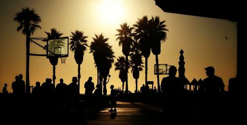 Silhouette palm trees at sunset