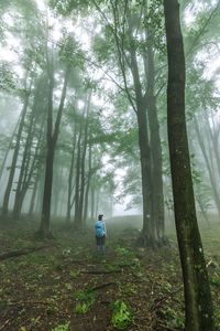 Rear view of man amidst trees in forest