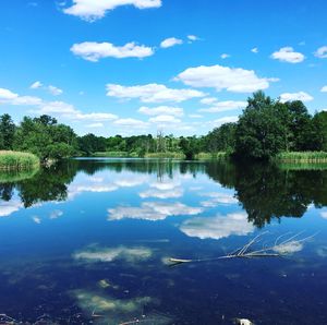 Reflection of trees in calm lake