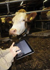 Use of computers and digitalization in dairy farming and agriculture