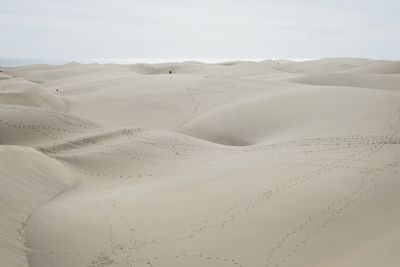 Scenic view of desert