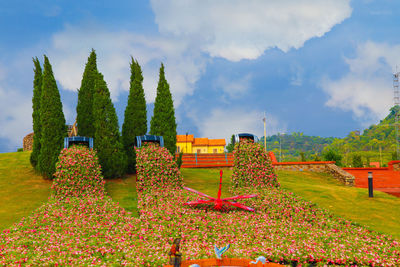 Flowering plants and trees on field against sky