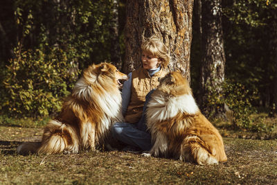 Woman sitting by tree with collie dogs on sunny day