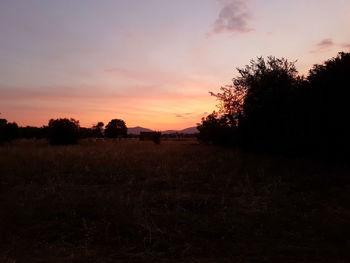 Silhouette trees on field against sky at sunset