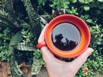 Close-up of woman holding coffee cup