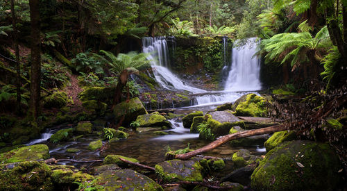 Scenic view of horseshoe falls waterfall in mount field national park