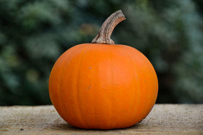 Close-up of orange pumpkin on table