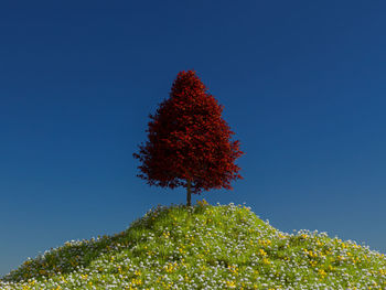 Low angle view of tree against clear blue sky