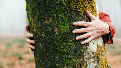 Anonymous elderly man hugging trees in the mountains to relax