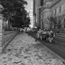 City street with buildings in background