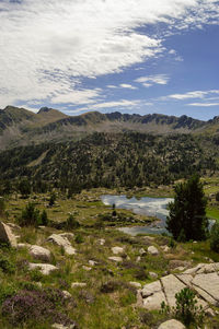 Scenic view of landscape against sky