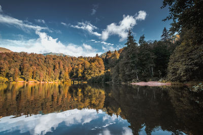 Scenic view of lake by trees against sky