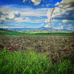 Scenic view of grassy field against cloudy sky