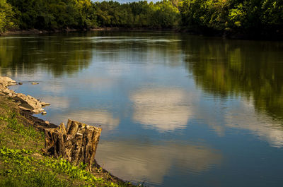 Scenic view of lake in forest