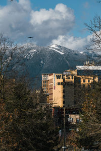 View of trees and buildings against mountain range